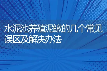 水泥池养殖泥鳅的几个常见误区及解决办法