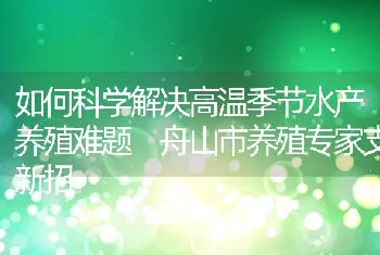 如何科学解决高温季节水产养殖难题舟山市养殖专家支新招