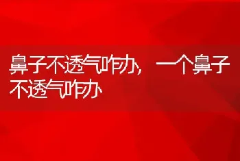 鼻子不透气咋办，一个鼻子不透气咋办