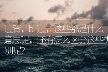 过背，b过