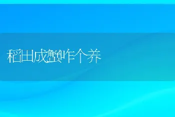 稻田成蟹咋个养