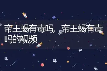 帝王蝎有毒吗，帝王蝎有毒吗的视频