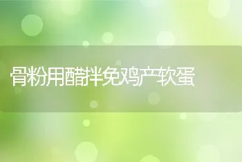 怎样选择和控制母猪饲料