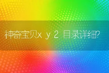 神奇宝贝xy2目录详细？