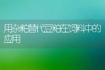 用杂粕替代豆粕在饲料中的应用