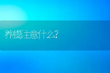 养蝎注意什么?