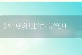 奶牛因饲料致病的饲养防治方法