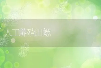 牛羊复合添加剂(高效生长素)