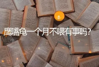 鹰嘴龟一个月不喂有事吗？