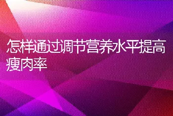 怎样通过调节营养水平提高瘦肉率