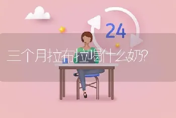 三个月拉布拉喝什么奶？