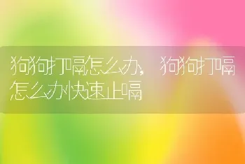 狗狗打嗝怎么办，狗狗打嗝怎么办快速止嗝