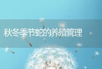 秋冬季节蛇的养殖管理