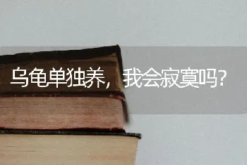 早晨拉布拉多先遛狗还是先吃饭？