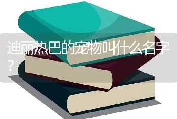 迪丽热巴的宠物叫什么名字？