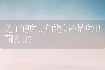 兔子能吃豆角的皮还是吃里面的豆？