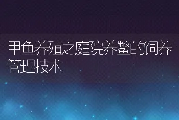 甲鱼养殖之庭院养鳖的饲养管理技术