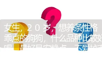 女生，20岁，想养条性格乖点的狗狗，什么品种比较好呢。最好是安静点，不爱掉毛的？