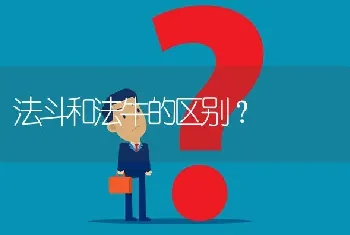 法斗和法牛的区别？