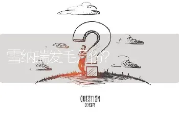 雪纳瑞发毛月份？