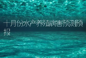 十月份水产养殖病害预测预报