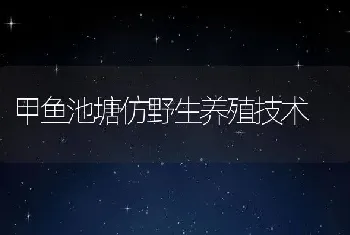 甲鱼池塘仿野生养殖技术