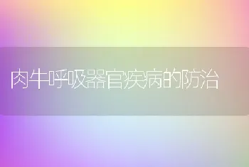 肉牛呼吸器官疾病的防治