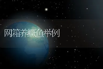 网箱养鳜鱼举例