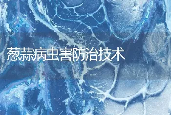 葱蒜病虫害防治技术