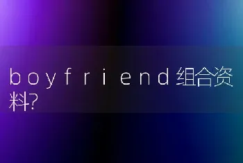 boyfriend组合资料？