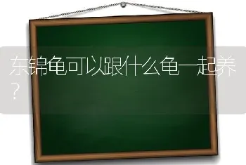 东锦龟可以跟什么龟一起养？