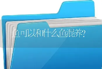 魟鱼可以和什么鱼混养？