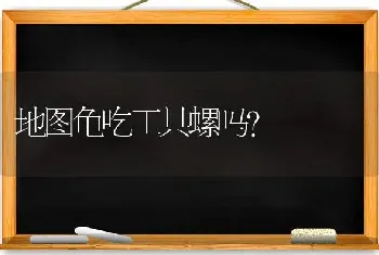 地图龟吃工具螺吗？