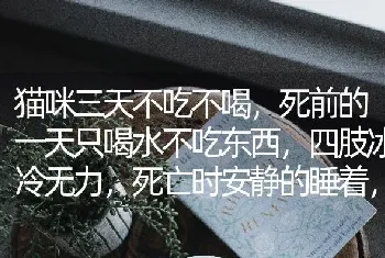 猫咪三天不吃不喝，死前的一天只喝水不吃东西，四肢冰冷无力，死亡时安静的睡着，等发现已经身体僵硬？