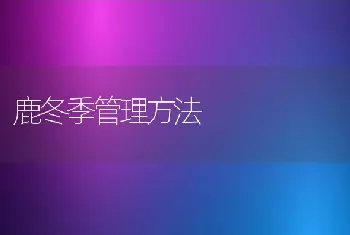 鹿冬季管理方法