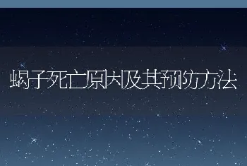 蝎子死亡原因及其预防方法