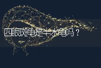 四眼斑龟是半水龟吗？