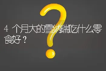 4个月大的雪纳瑞吃什么零食好？