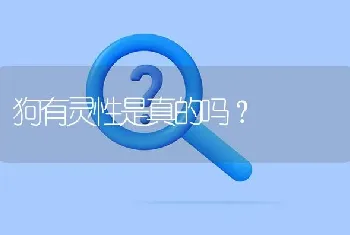 狗有灵性是真的吗？