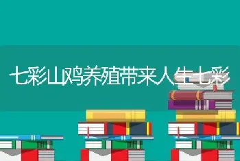 七彩山鸡养殖带来人生七彩