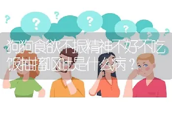 狗狗食欲不振精神不好不吃饭抽搐呕吐是什么病？