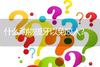 男泰迪叫什么名字好听，要洋气一点？