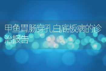 甲鱼胃肠穿孔白底板病的诊治报告