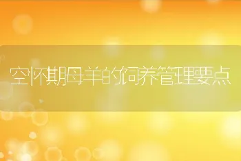 野外泥塘防病养鳖