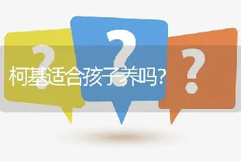 柯基适合孩子养吗？