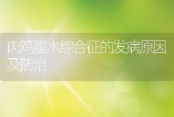 肉鸡腹水综合征的发病原因及防治