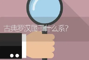 古典罗汉属于什么系？