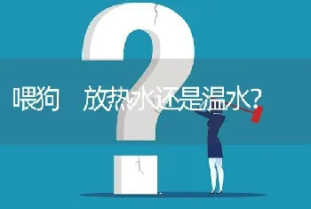 喂狗 放热水还是温水？