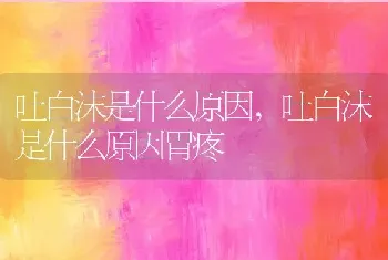 吐白沫是什么原因，吐白沫是什么原因胃疼