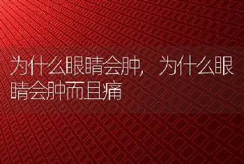 为什么眼睛会肿，为什么眼睛会肿而且痛